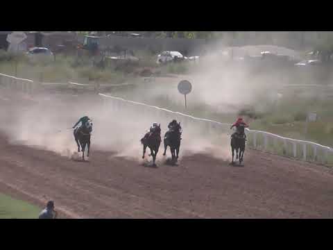 DON PAULIÑO  Jockey Club Neuquén - Neuquén - 05-03-2023