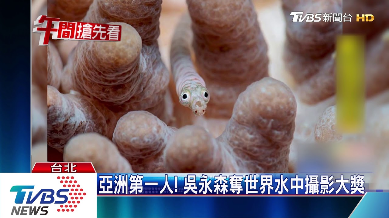 冒6度低溫苦守 「鮭魚洄流」 奪水中攝影首獎