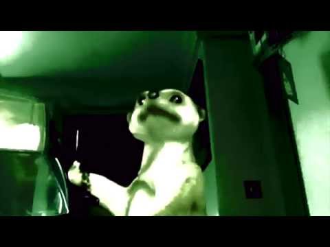 Rocket From The Tombs - Coopy (Schrödinger's Refrigerator)