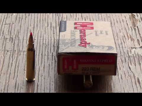 .223 Remington Hornady 55gr V-MAX Review