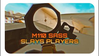 Using the SASS in PvP is GOATED | CODE-5343