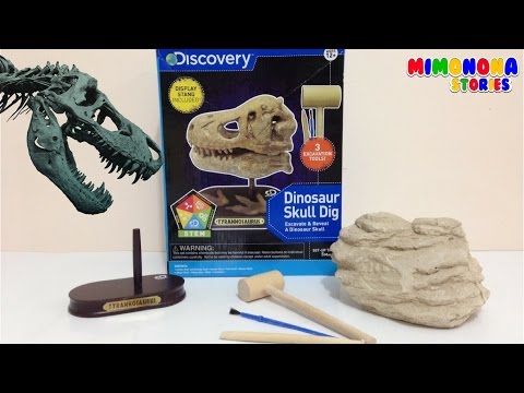 Excavemos el Craneo de un Tiranosaurio Rex  | Juguete de Discovery  |  Mimonona Stories Video