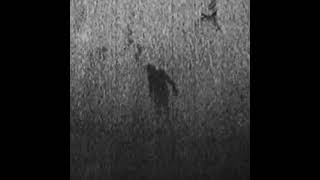 movement - 5:57 (𝑠𝑙𝑜𝑤𝑒𝑑 + 𝑟𝑒𝑣𝑒𝑟𝑏)