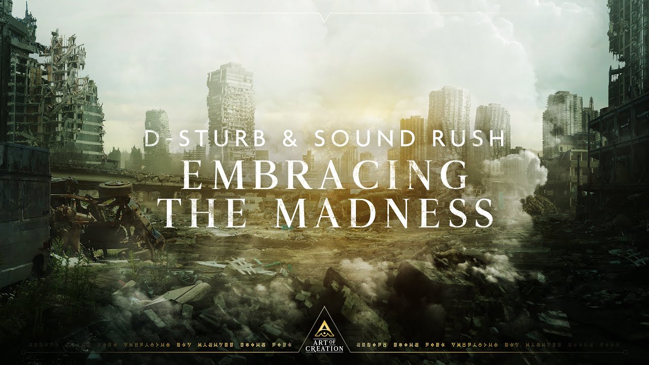 D-Sturb & Sound Rush — Embracing The Madness