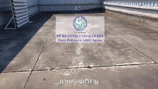 Polyurea pure 100% permanent waterproofing 10 years warranty https://www.ppbeyond.com