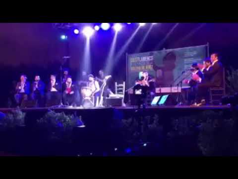 Fin de fiesta . Fiesta de la bulería 52. Barrio Santiago