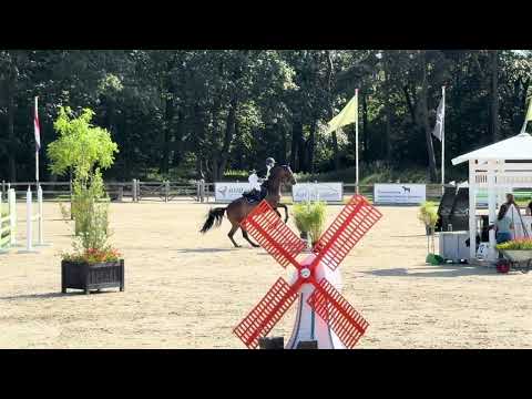 Showvideo 1