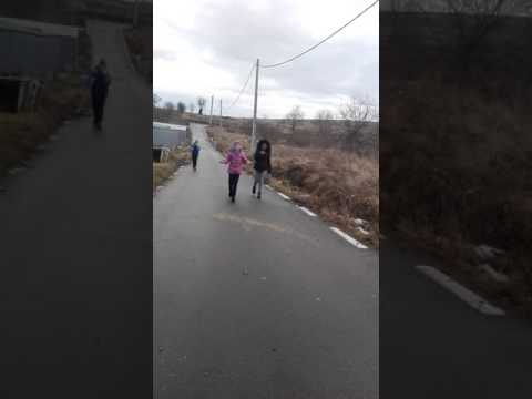 Ptoastele  si cel mai tare Adi