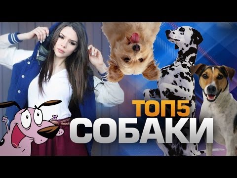 ТОП5 Пород СОБАК