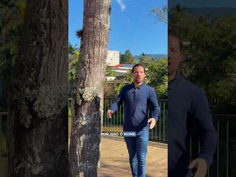 Rio dos Cedros carrega uma história rica, construída pelo trabalho