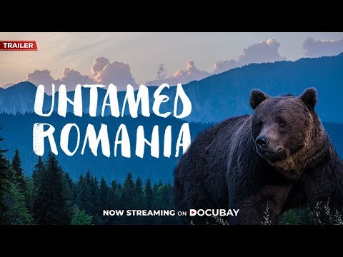 Untamed Romania - Documentary Trailer | #DocuBay