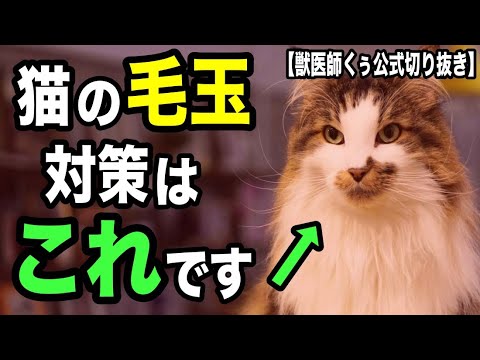 猫の毛玉を防ぐ方法
