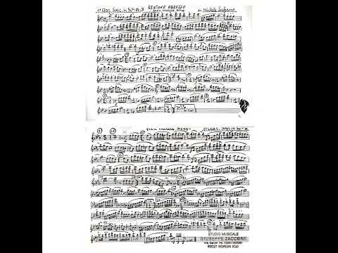 Regione Abruzzo - Michele Lufrano (Marcia sinfonica)