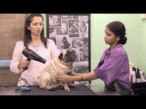 06 Mumbai Urmila Dabolkar