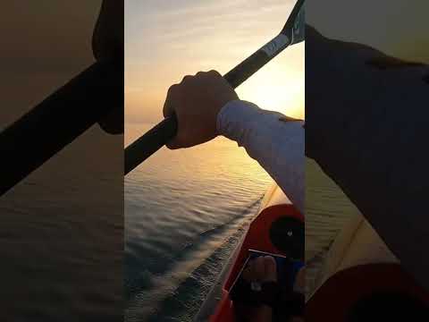 25 de octubre de 2022