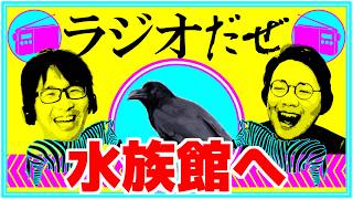 水族館に行った週【ラジオだぜ 第274回】