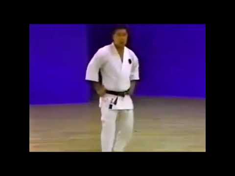 Neko Ashi Dachi explained | Morio Higaonna