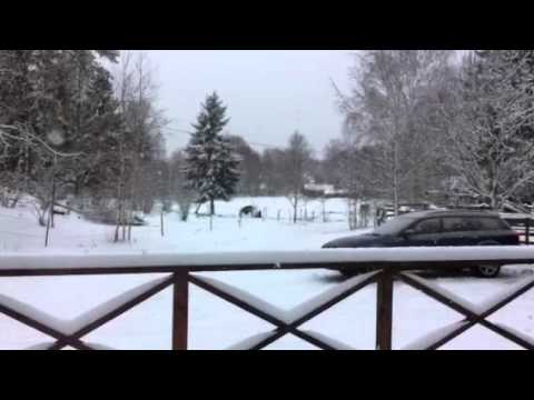 Snöfall gården januari 2015