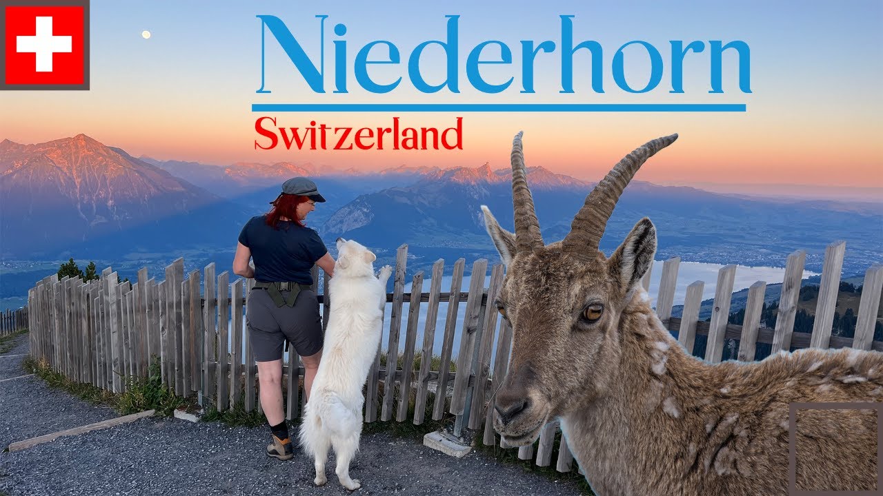 Embark on an immersive virtual journey of Niederhorn Beatenberg.