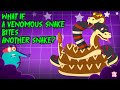 Deadliest Battle Rattle Snake Vs Cobra What Happens If A Venomous Snake Bites Another Snake