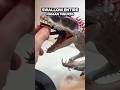 NEW Indominus Rex Jurassicworldrebirth Toys Actionfigures Dinosaur Jurassicworld