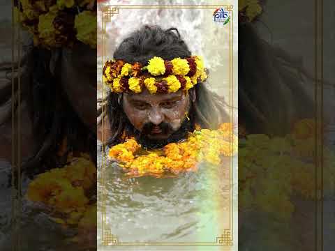 Join the vibrant tapestry of devotion at #mahakumbh2025