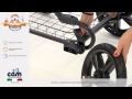 миниатюра 0 Видео о товаре Коляска-люлька Cam Linea Sport, 638 (Бордо)