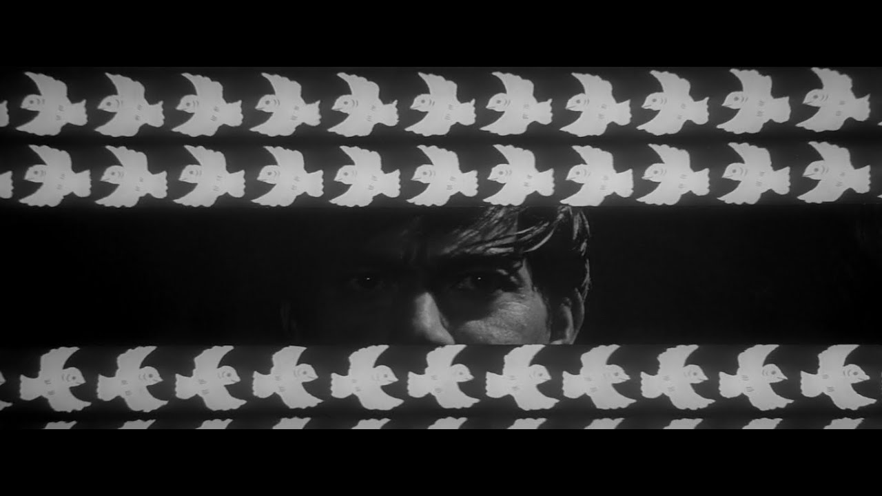 Branded to Kill - Criterion Collection Trailer