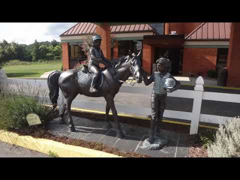 Disquised Elevator Doors at the Comfort Inn in Lexington, VA