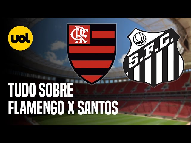 Próximos jogos do Santos: onde assistir ao vivo na TV e internet