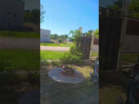 hermoso dia en romang santa fe Argentina 😜