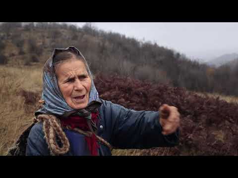 TREI ZILE DIN VIAȚA MARIEI   Scurtmetraj documentar  2018