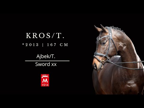 KROS/T. *2013 v. Ajbek/T. - Sword xx