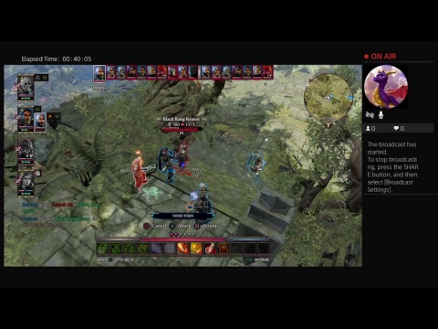 Divinity 2 os 4 player coop  walkthrough part 24