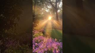 Download lagu SURAH AL-KAWTHER |سورۃ الکوثر Surah Al-Kausar #egzonibrahimi #noorjourney #surahkausar mp3