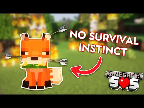 How the FOX do I keep him ALIVE?! - Minecraft SOS