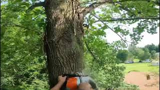 SOUND ON! Westcoast saw bark box MS-462