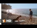 Forgetting Sarah Marshall 6 11 Movie CLIP The Less You Do The More You Do 2008 HD