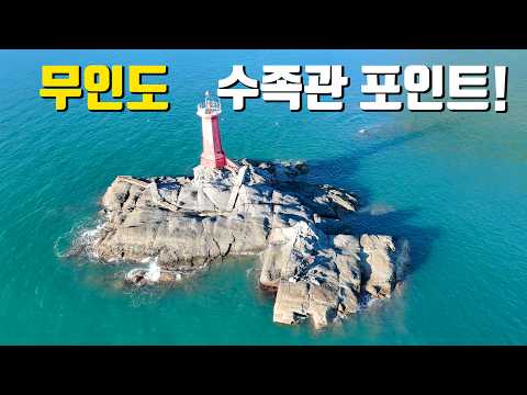 다양한 어종이 쭉쭉 나오는 무인도 갯바위 포인트에서의 12시간!!!