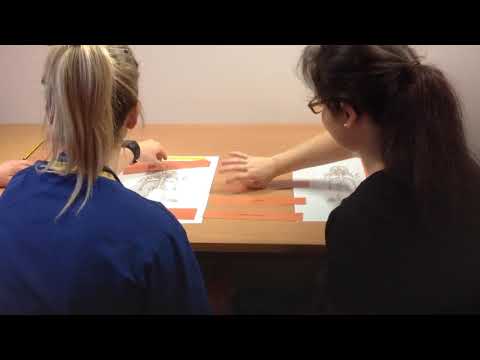 Where What When Lesion Game 05