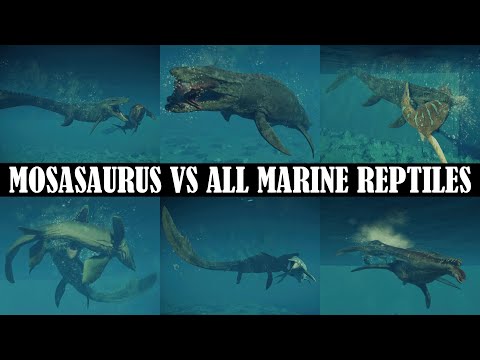 MOSASAURUS VS ALL MARINE REPTILES (ALL DLC) | JURASSIC WORLD EVOLUTION 2