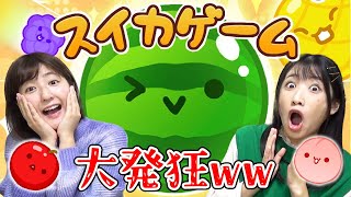 【大興奮】なんだこの楽しいゲーム！デビュー戦でスイカ目指してみたぁぁあ！！！🍉【スイカゲーム】