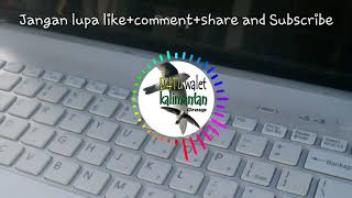 Download lagu Suara panggil Datu Walet Kalimantan. mp3