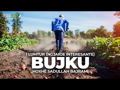 Bujku i lumtur (Ngjarje interesante) - Hoxhë Sadullah Bajrami