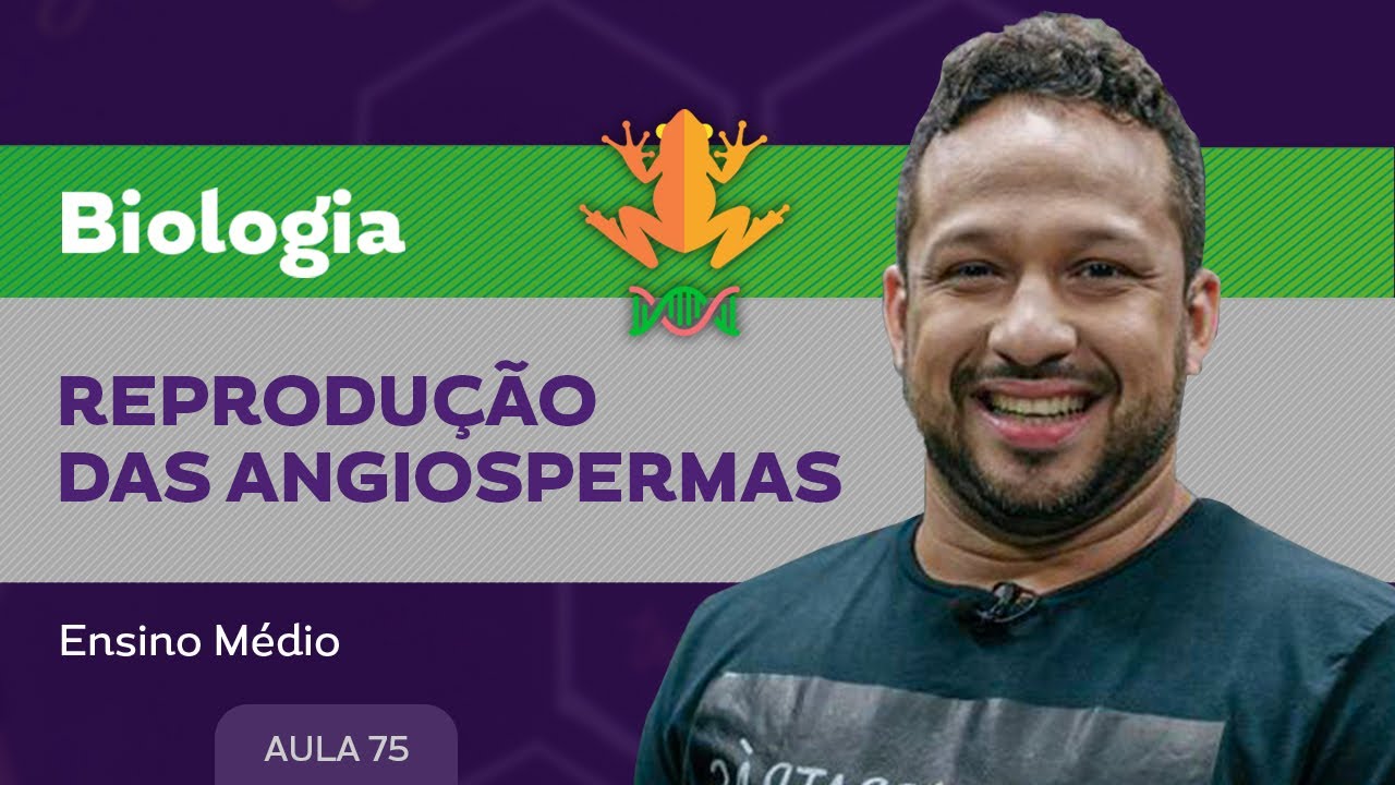 Reprodução das angiospermas​ - Biologia - Ensino Médio