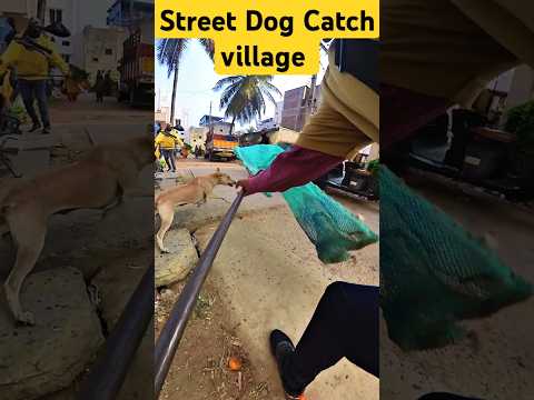 Village Street Dog Catch Davangere #shorts #ytshorts #dog #pets #youtubeshorts