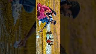 Download lagu Kutty Movie Song |😍 Yaaro En Nenjai Song | WhatsApp Status🥰 | Full Screen | Hd | Hv creations mp3 Download lagu Kutty Movie Song |😍 Yaaro En Nenjai Song | WhatsApp Status🥰 | Full Screen | Hd | Hv creations mp3