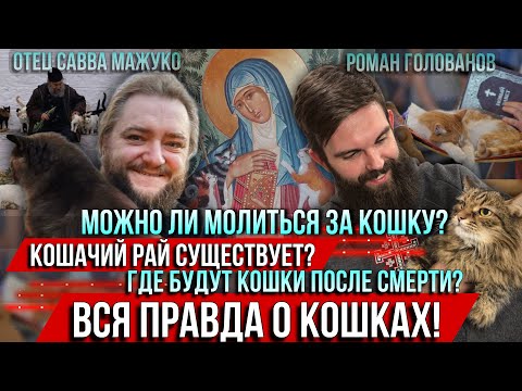 ❗️Can you pray for a cat? Does cat heaven exist? Where will cats go after death? The whole truth ...