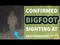 A Bigfoot Sighting at CritterVision??? *