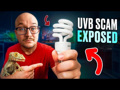 UVB Is Kind of a Scam